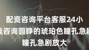 配资咨询平台客服24小时在线咨询圆睁的琥珀色瞳孔急剧放大