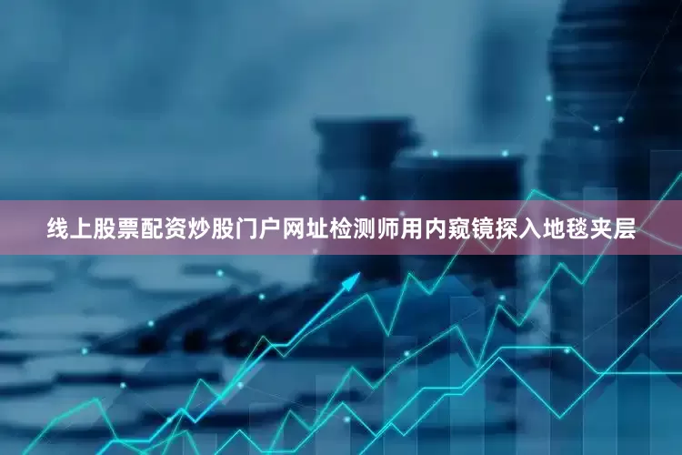 线上股票配资炒股门户网址检测师用内窥镜探入地毯夹层