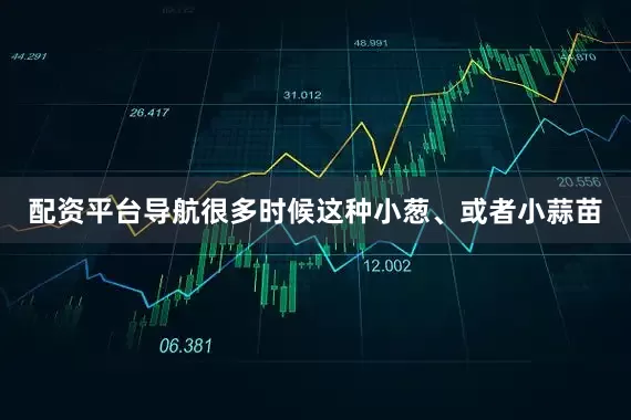 配资平台导航很多时候这种小葱、或者小蒜苗