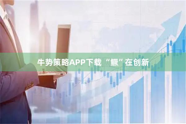 牛势策略APP下载 “鳜”在创新